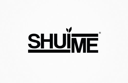 dl011-shuime