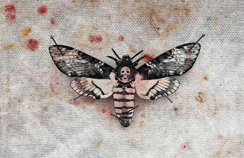 b003-bloodymarvellous_moth