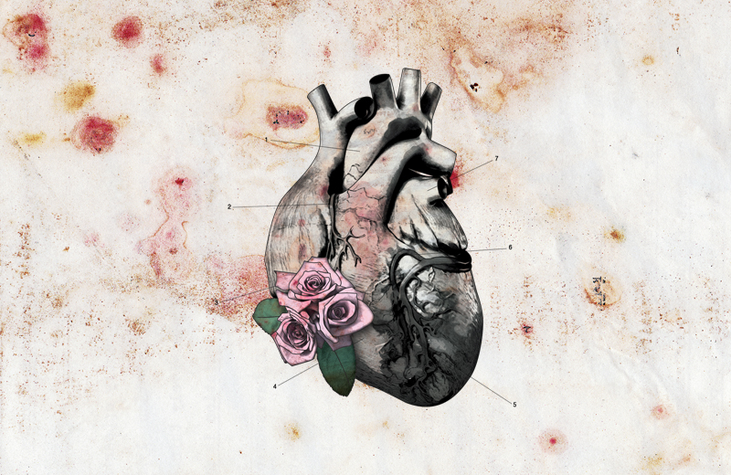 b005-bloodymarvellous_heart