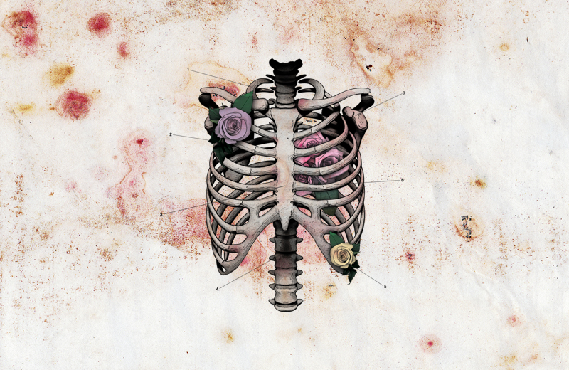 b008-bloodymarvellous_chest